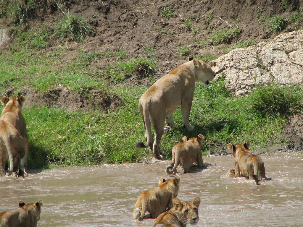 Maasai Simba Camp Hotel อัมโบเซลี ภายนอก รูปภาพ