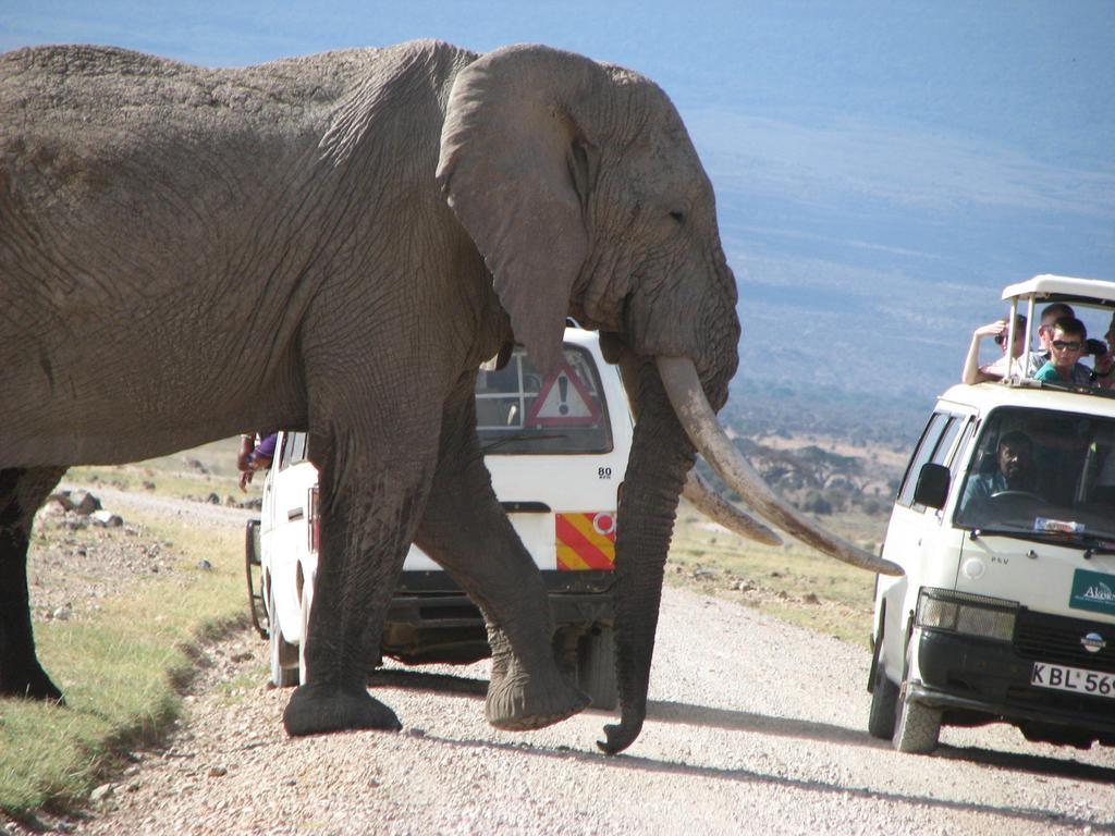 Maasai Simba Camp Hotel อัมโบเซลี ภายนอก รูปภาพ